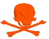 skull and bones in color