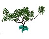 MP~PICNIC TABLE& TREE