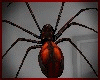 Red Spider Animated