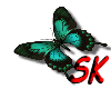 (sk) butterfly12
