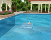 kiss pool float