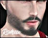 Beard Realistic Grey