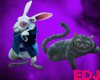 EDJ Cheshire & Rabbit