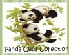 Panda Cubs Pot Plant