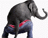 Funny Action