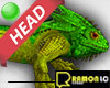 Iguana Head F