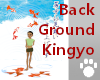 BackGround Kingyo2