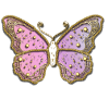 Gold Pink Butterfly