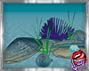 [LD]SeaShells♣Decor