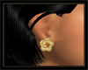 [RMQ]Gold Rose Earring