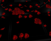 O.R Red Rose Pedals