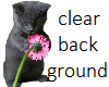 Kitten with Flower