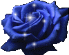 blue rose animated