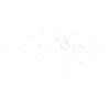 BLK/WHITE Lights