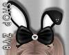 ZY: Black Bunny Ears
