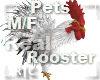 R|C Rooster White M/F