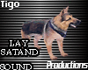 German Shepard Pet Dog