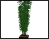 Tall Plant V1 ~