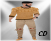 CD Brown Sweaters