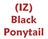 (IZ) Black Ponytail