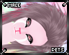 [PETS] Sove | hair v6