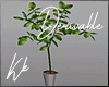 [kk] DERV. Pot/Plant