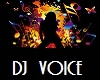 [lK] DJ Voice System v2