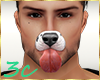 [3c] Nose Dog