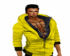 yellow  jacket
