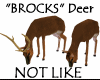 "BROCKS"DEER