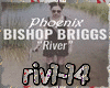[Mix]              River