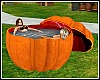 Giant Pumpkin Tub
