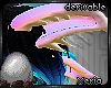 |Co|Deriv. Dragon Ears