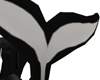 Azaga Orca Tail