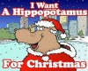hippopotamus for christm