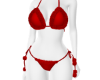 𓍼ོ Valentine Bikini