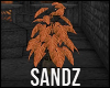 S. Plant