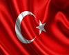 (W)TurkeyFlag
