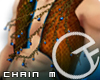 TP Kharif M1 - Chains