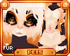[Pets]Nectar | andro fur