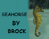 SEAHORSE BY BROCK