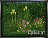 (ED1)Flowers-8