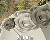 Z| Roses Shoulder