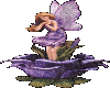 purple rose /fairy