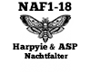 Harpyie ASP Nachtfalter
