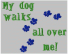 my dog walks