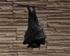 Mounted Bat