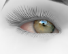 mz g1 eyes