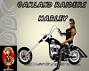 L. A. Raiders Harley 