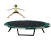 vettes trampoline